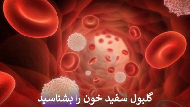 گلبول سفید خون را بشناسید