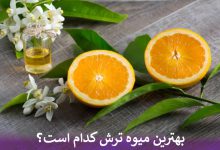بهترین میوه ترش کدام است؟
