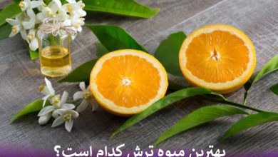 بهترین میوه ترش کدام است؟