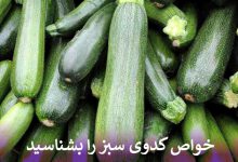 خواص کدوی سبز را بشناسید
