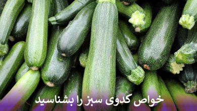 خواص کدوی سبز را بشناسید