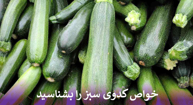 خواص کدوی سبز را بشناسید
