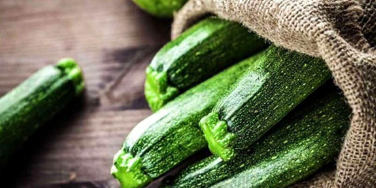خواص کدوی سبز را بشناسید