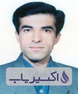دکتر محمدرضا زندی پور