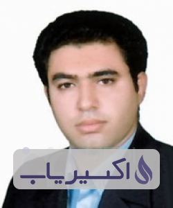 دکتر سیدحمزه صدیقی رنانی