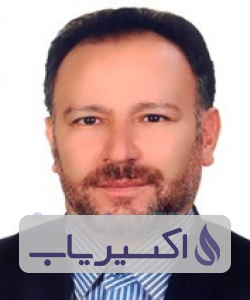 دکتر حمیدرضا حمزه ای