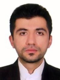 دکتر محمدمهدی امیدیان