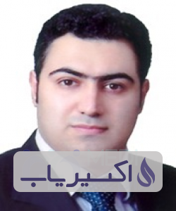 دکتر سیداحمد میرمحمدحسینی