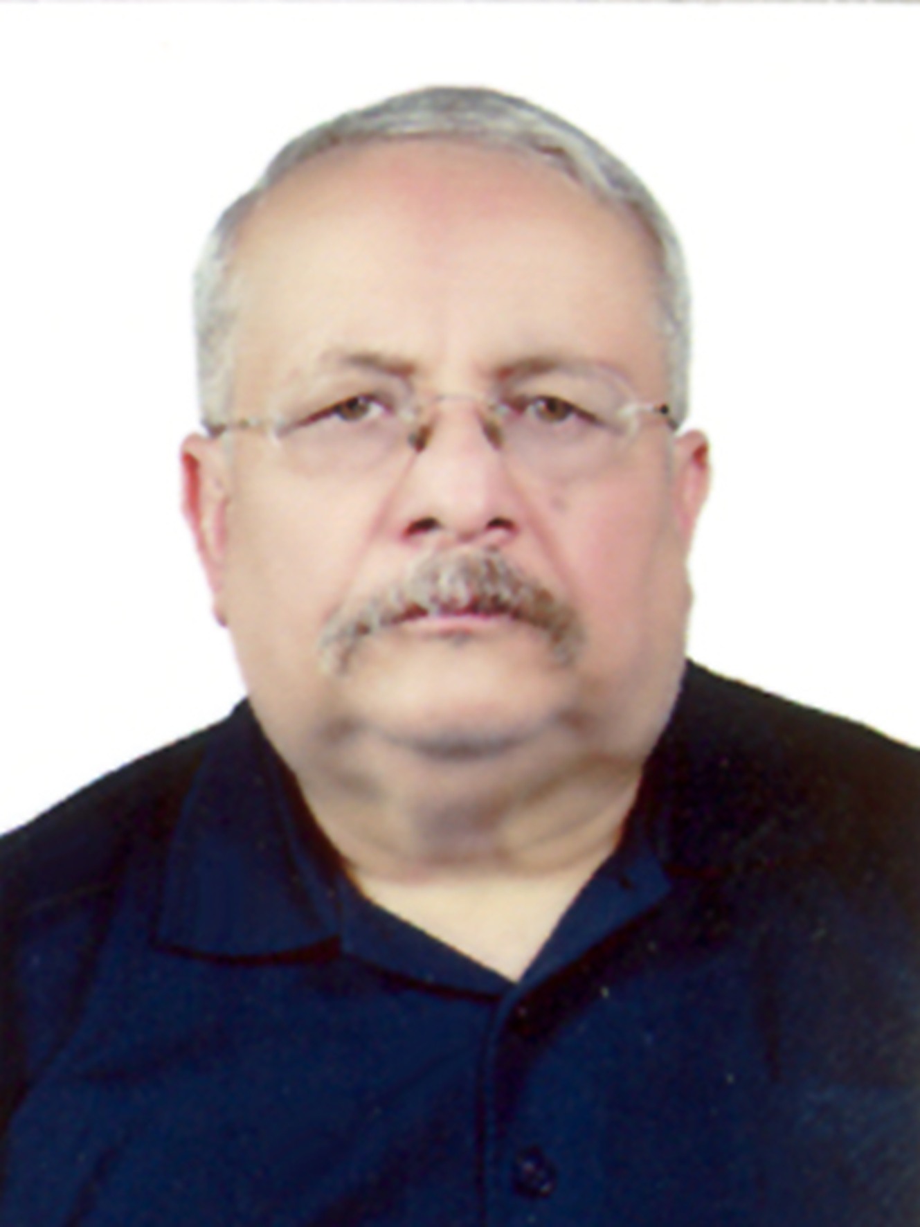 دکتر سیدمحمدرضا میرهادی