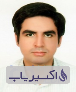 دکتر امین حسین ربیعی