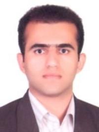 دکتر محمدرضا رجب پورنیک فام