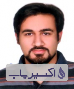 دکتر سیدحسن ابوالحسنی