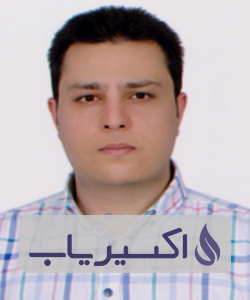 دکتر سیدمحمدهادی احمدی