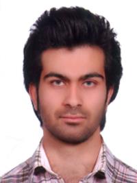 دکتر مهدی حمزه ء