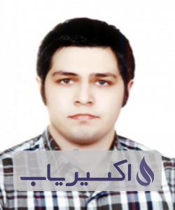 دکتر سیداصلان عاملی