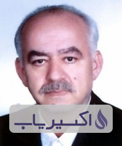 دکتر علی اکبر برادران خسروشاهی