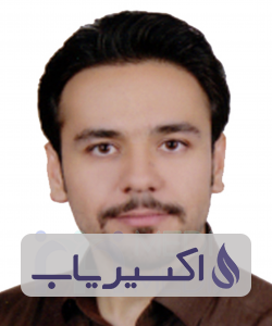 دکتر مجتبی عبدالهی خورشبری