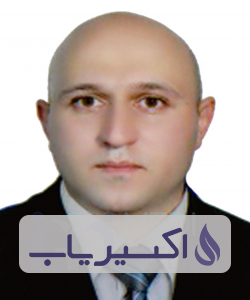 دکتر مهدی جمیلی نژاددزفولی