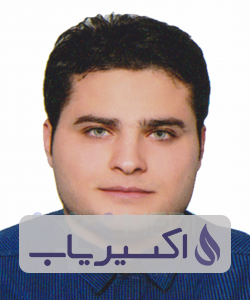 دکتر سیدمهدی میرمحمدی میبدی