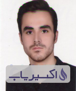 دکتر علی مدنی پور
