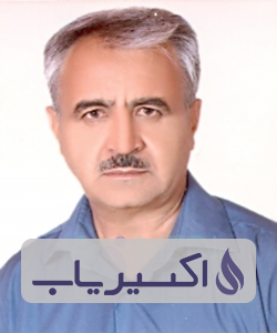 دکتر عبدالحسن تقی زاده