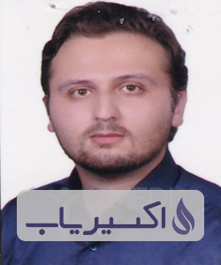 دکتر شاهین نامور اصل امیرخیزی