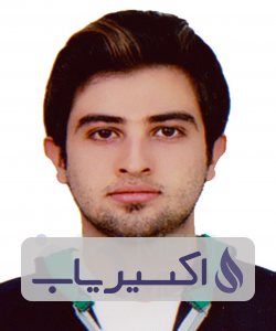 دکتر سیدامیرطه هوائی