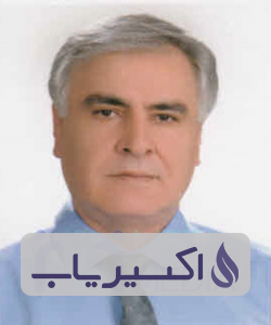 دکتر محمدرضا ملک پور