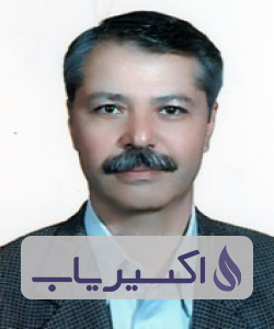 دکتر نادر حسین پور