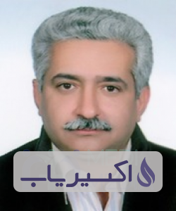 دکتر علی محمد صادقی میبدی