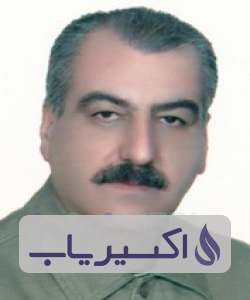 دکتر سیدطه حمیدی