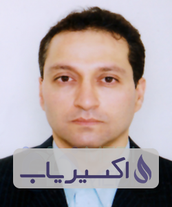 دکتر سیدمرتضی میرعرب بایگی