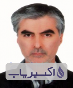 دکتر شهاب الدین میرزائی