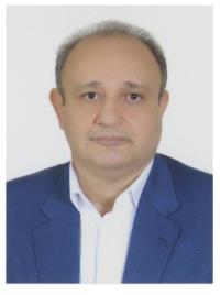 دکتر محمد رضا امام هادی