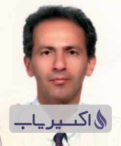 دکتر امیرهوشنگ احمدی پور