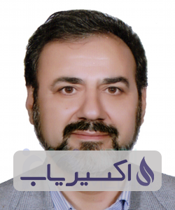 دکتر محمدحسن بیرجندی