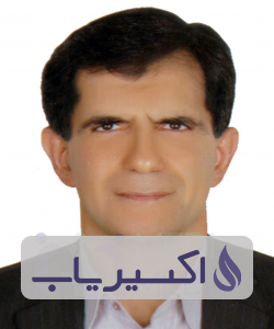 دکتر حسین میرمیران پور