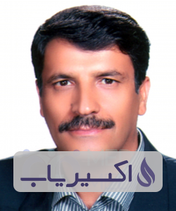دکتر سیدحسن بزرگی