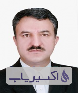 دکتر سیدعبدالرضا محمدی
