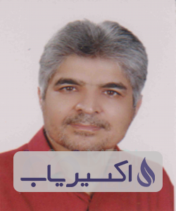 دکتر حسن سیف الدینی رشک علیا