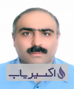 دکتر محمدرضا رحیمی شهمیرزادی