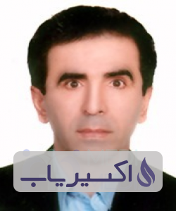 دکتر مجتبی محمودی