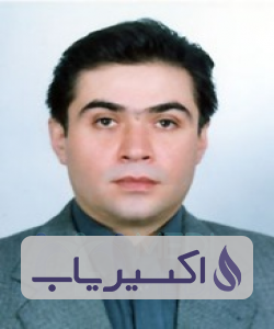 دکتر سیدامیرحسین شامخ