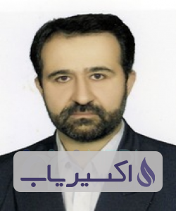 دکتر سیدمجتبی طباطبائی بفروئی