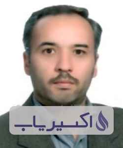 دکتر میرحسین موسوی ینگجه