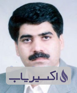 دکتر محمدرضا رضائی پور