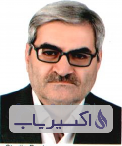 دکتر حسن حبیب پور فتاحی