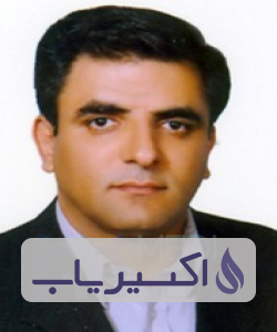 دکتر محمدمهدی فروزان فر