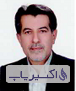 دکتر محمدرضا رزقی رستمی