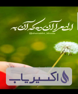 دکتر حمید استیری